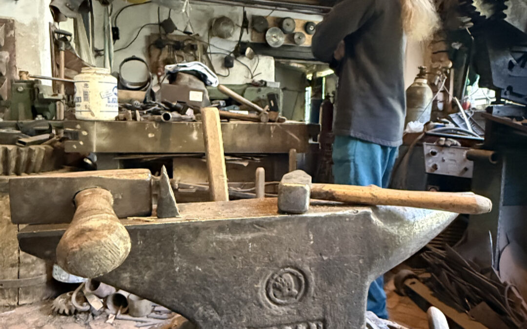 Obřanský Obr Brno 2025 - video (autor Petr Krátký)