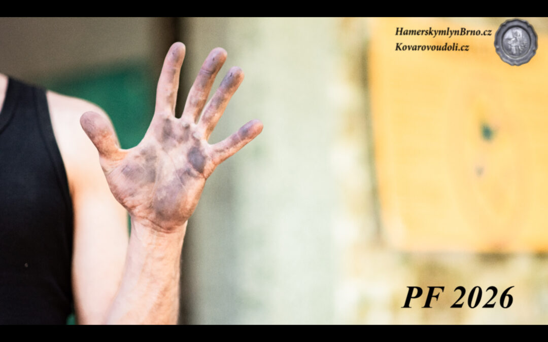 Veselé vánoce & Šťastný nový rok PF 2026...